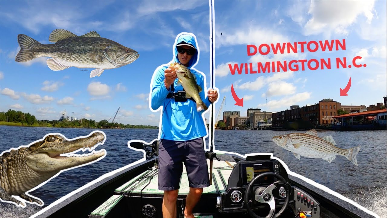 BASS Fishing in Downtown Wilmington N.C. (Cape Fear River)
