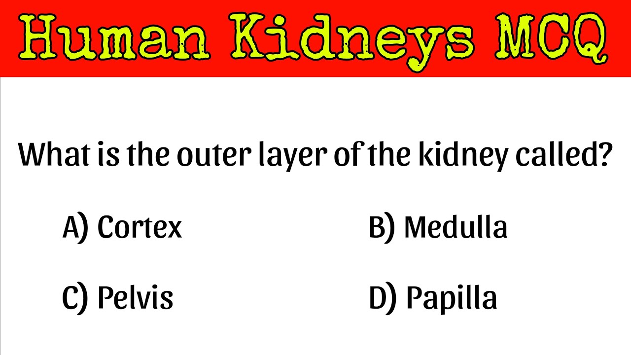 Human Kidney MCQ | kidney mcq questions