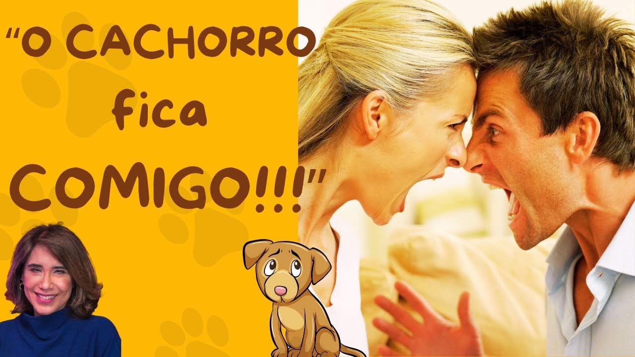 🐶🐱GUARDA COMPARTILHADA DE CACHORRO E GATOS |DR. Ana Beatriz Barbosa