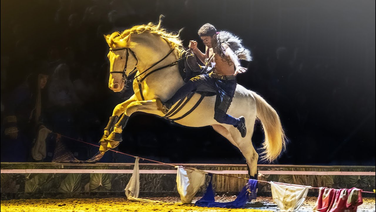 CAVALLUNA - Diego, Giulio und Sasa in der Show 