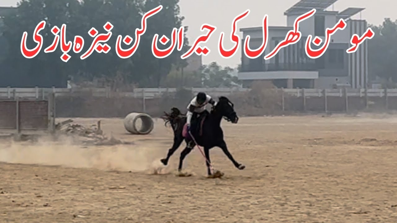 Wonderful Tent Pegging by Momin Kharal🏇