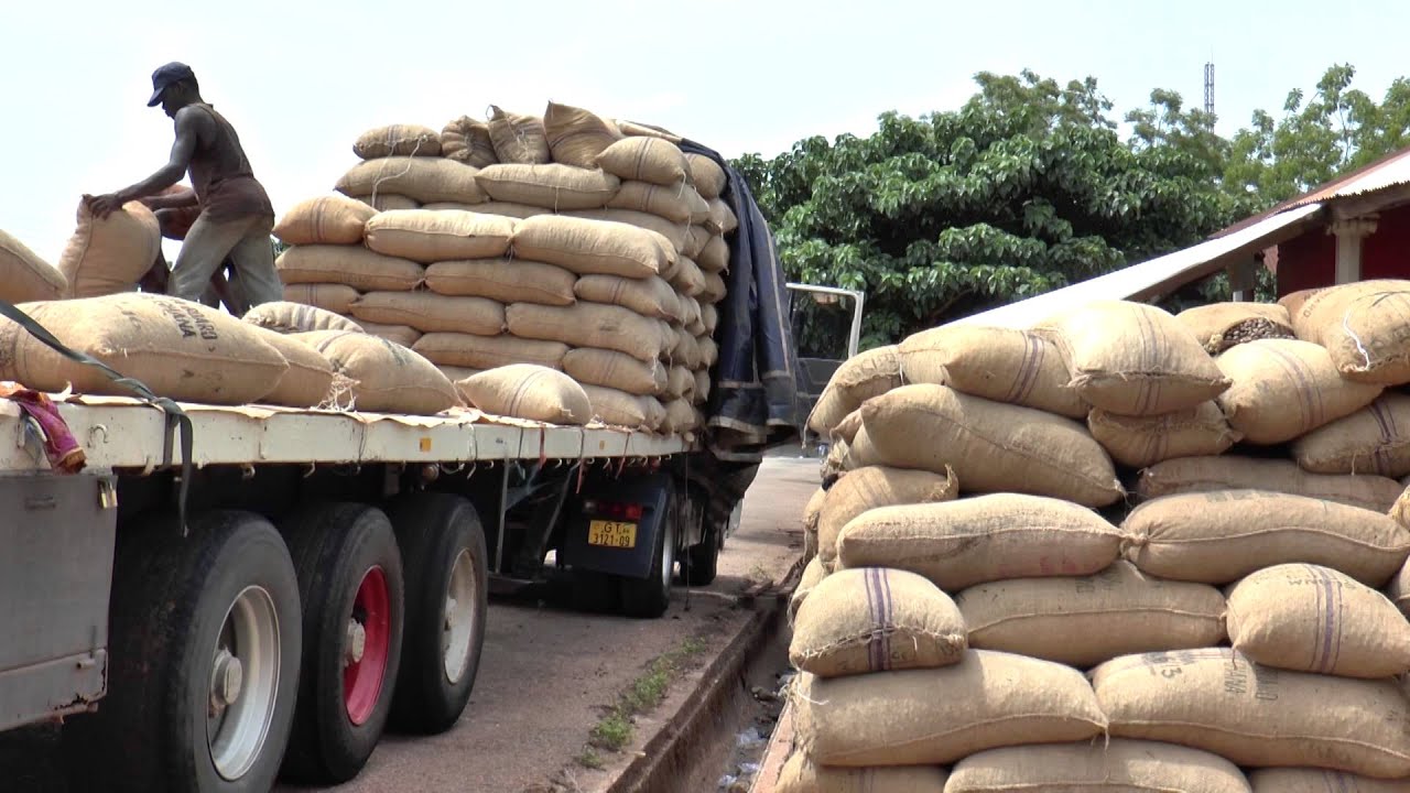 Cashew, Land & Food Security (University of Reading)