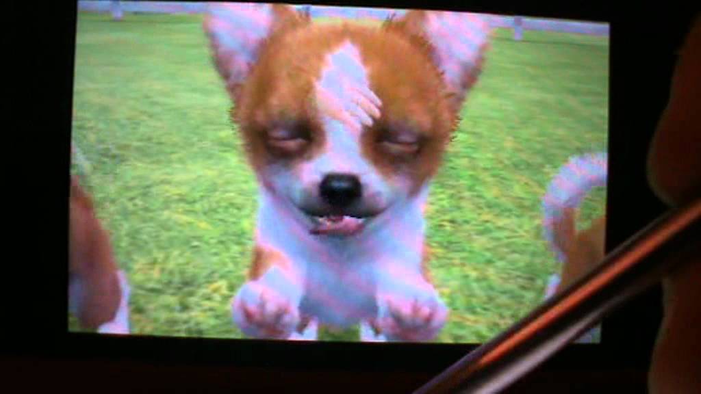 nintendogs + cats special race les chihuahua
