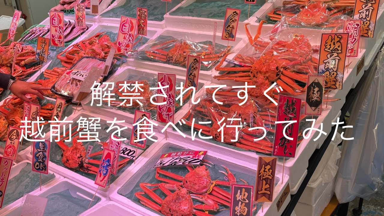 2022年11月6日解禁されてすぐ越前カニを敦賀に食べに行ってみた！