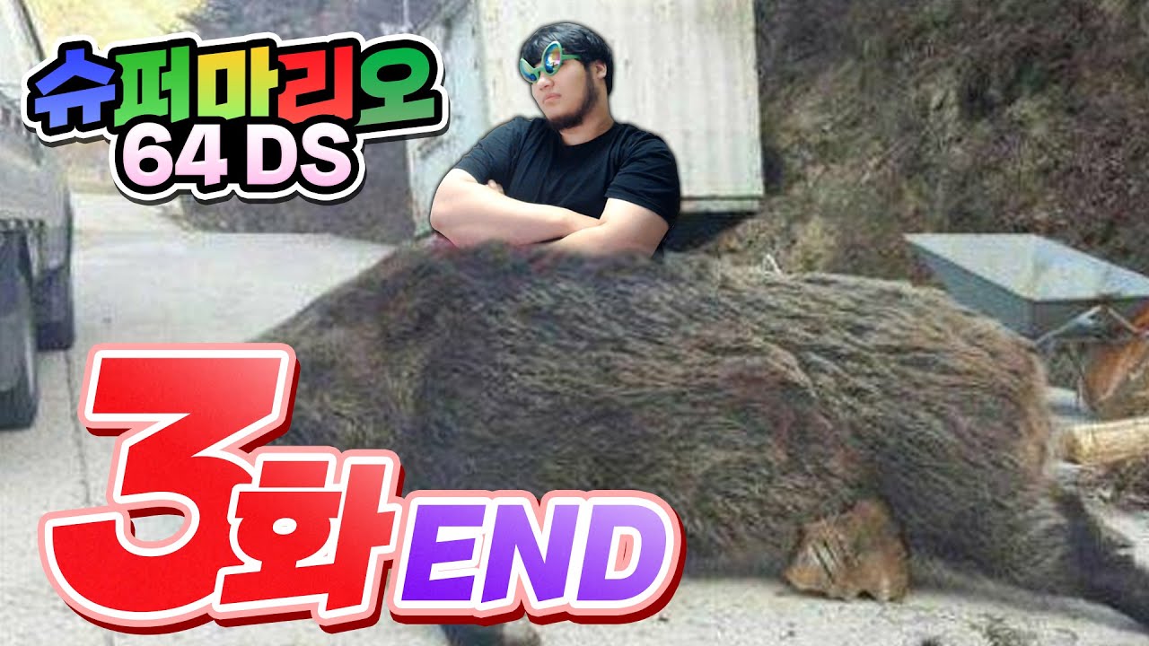 마티즈만 한 멧돼지 본 썰 【슈퍼마리오64 DS 150스타 켠왕 #3】