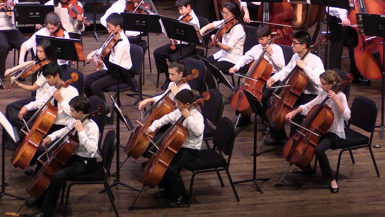 TCSYO Chamber Orchestra - Richard Meyer -  Momentum