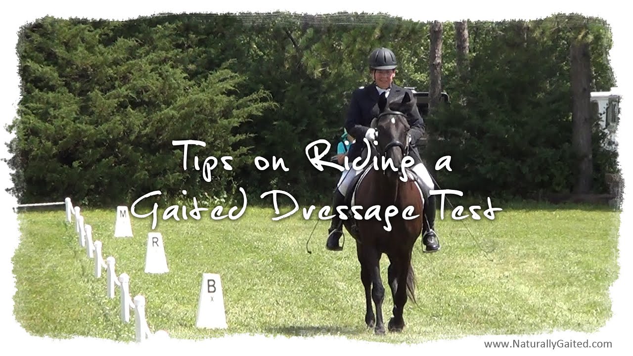 Tips on Riding a Dressage Test with a Tennessee Walking Horse