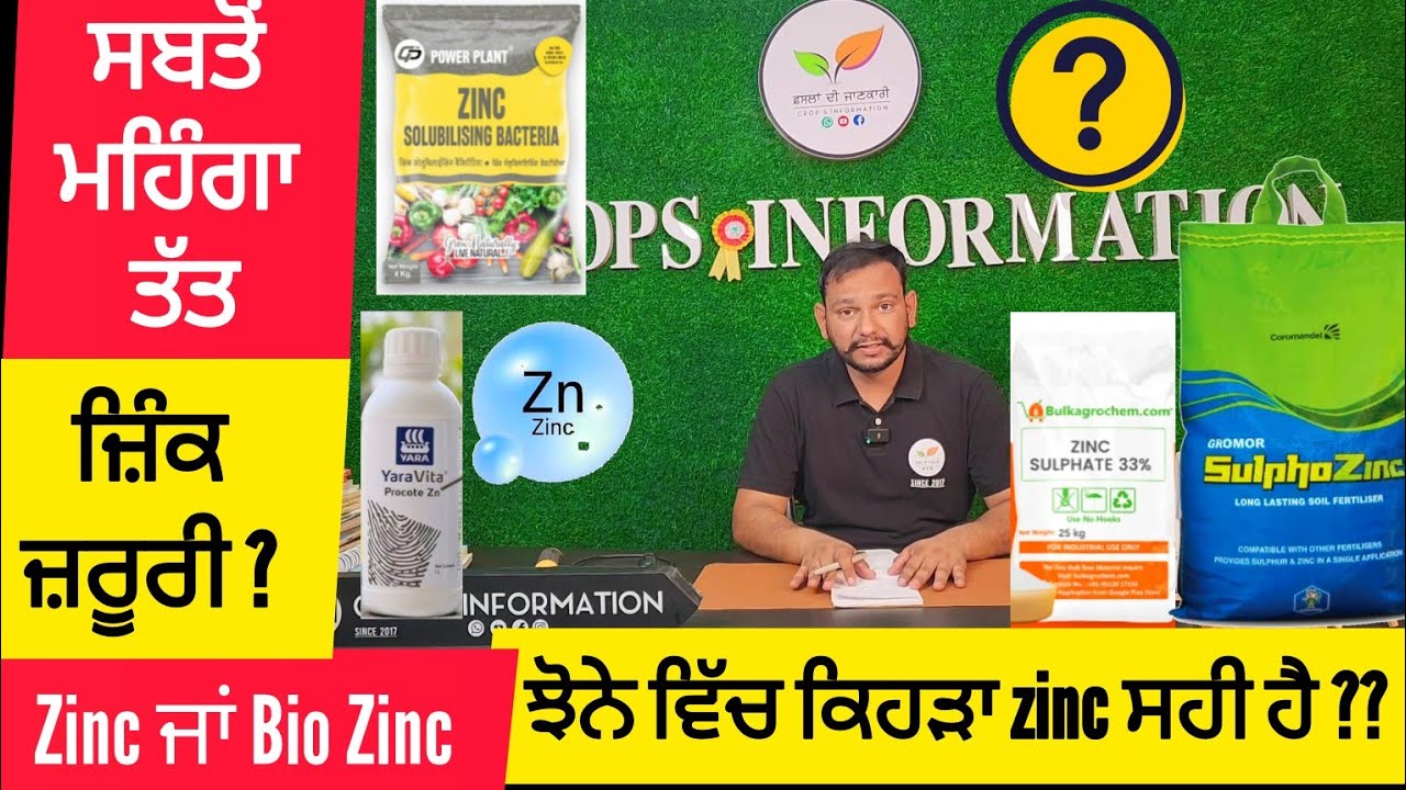 ਝੋਨੇ ਵਿੱਚ ਕਿਹੜਾ ਜਿੰਕ ਸਹੀ ਰਹੂ Paddy crop zinc fertilizer application