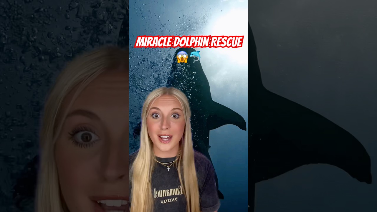 MIRACLE Dolphin Rescue?!😱🐬 #rescue #miracle #Godisgood #dolphin #shorts