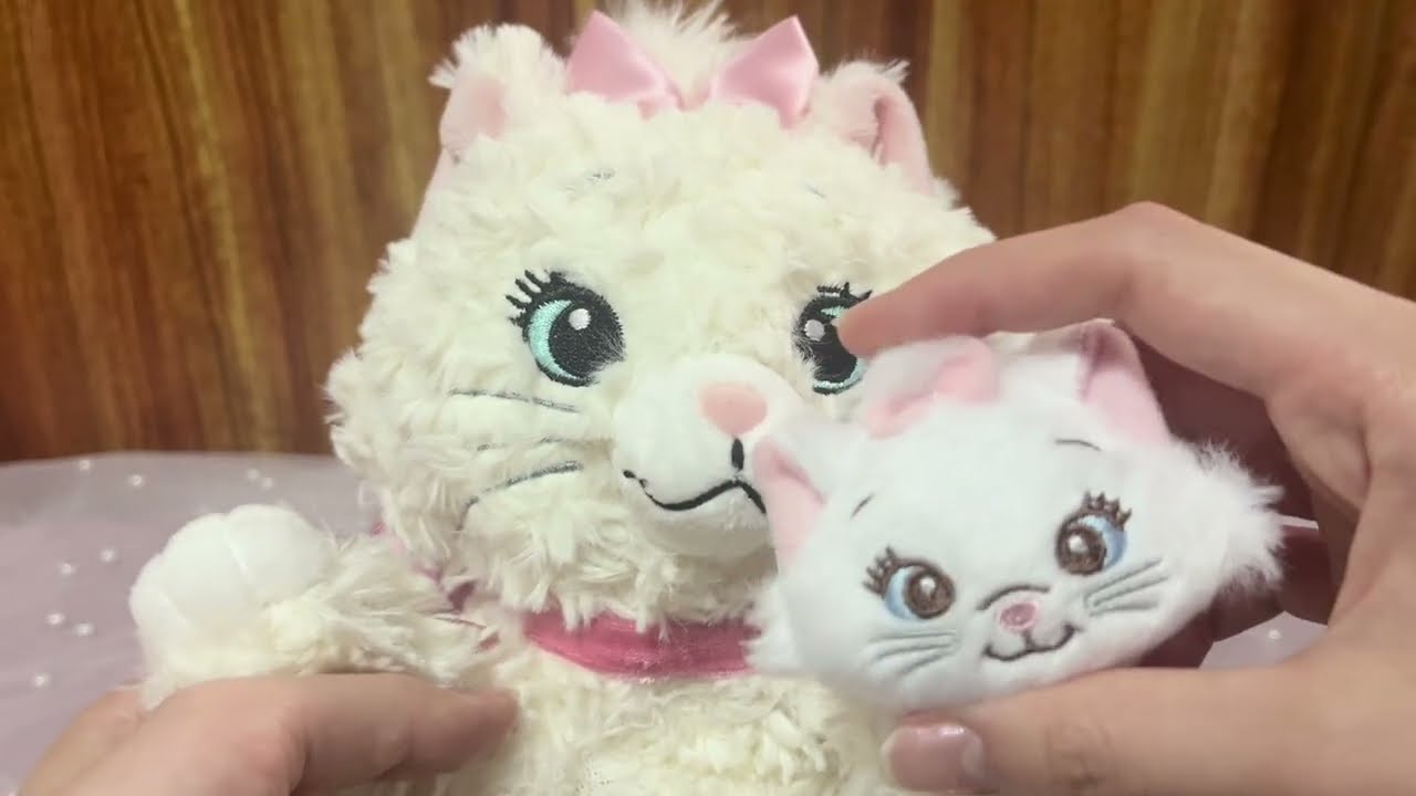 【ディズニー購入品紹介】2月22日は猫の日！くじ引いてきたよ～