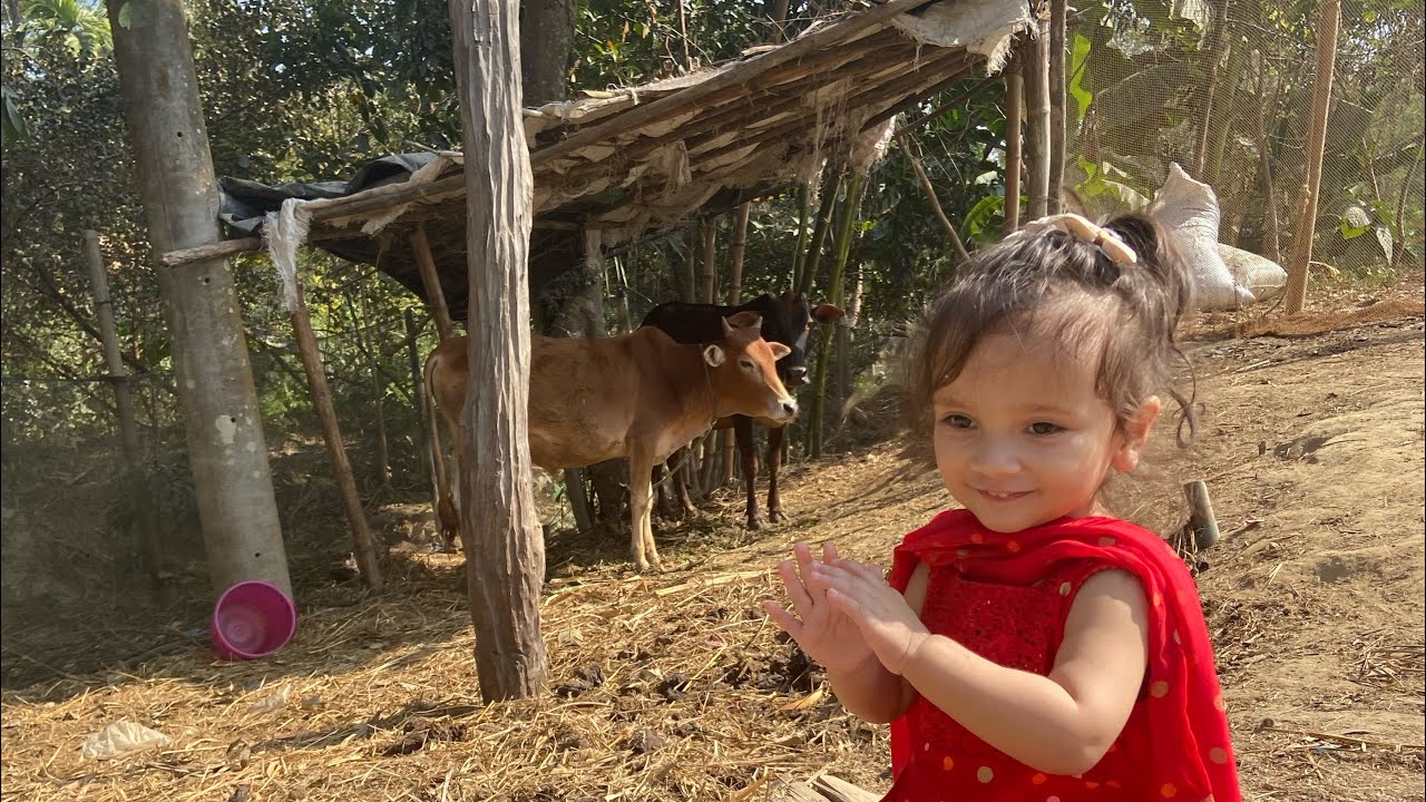 গ্রামের বাড়ির গল্প#viral #foryou #baby #love #trending #travel #funny #food #bangladesh #ramadan 