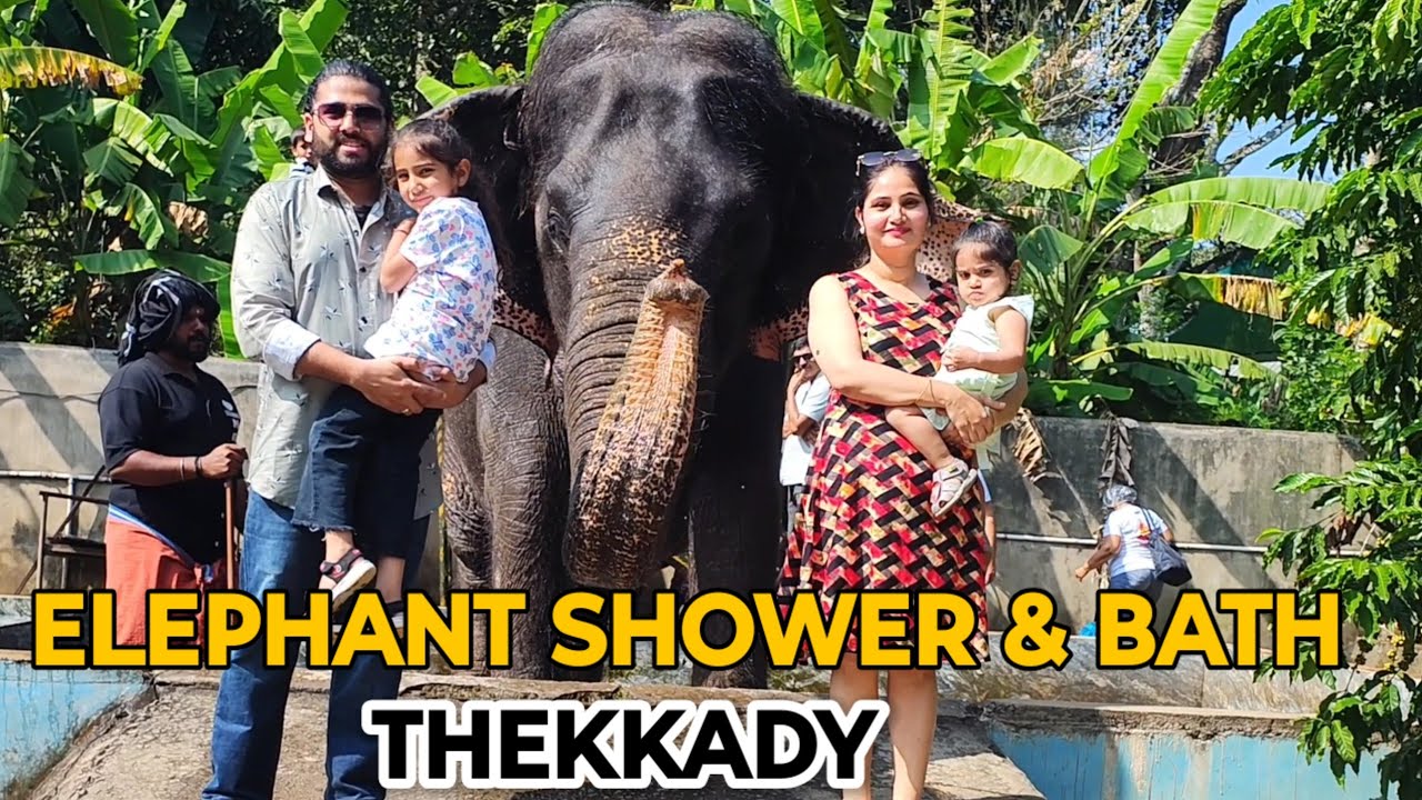 ELEPHANT ne SAMAYRA & NAAVYA ko nahalaya 🫣 II THEKADDY II Elephant shower and bathing II UNIQUE 😲😲
