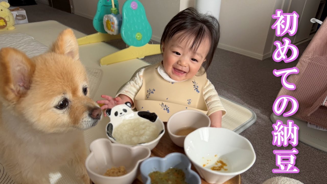【生後7ヶ月】初めての納豆に挑戦する赤ちゃんが可愛過ぎました…笑