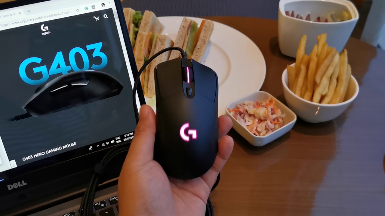 Logitech G403 Hero Gaming Mouse, for starter gamers?