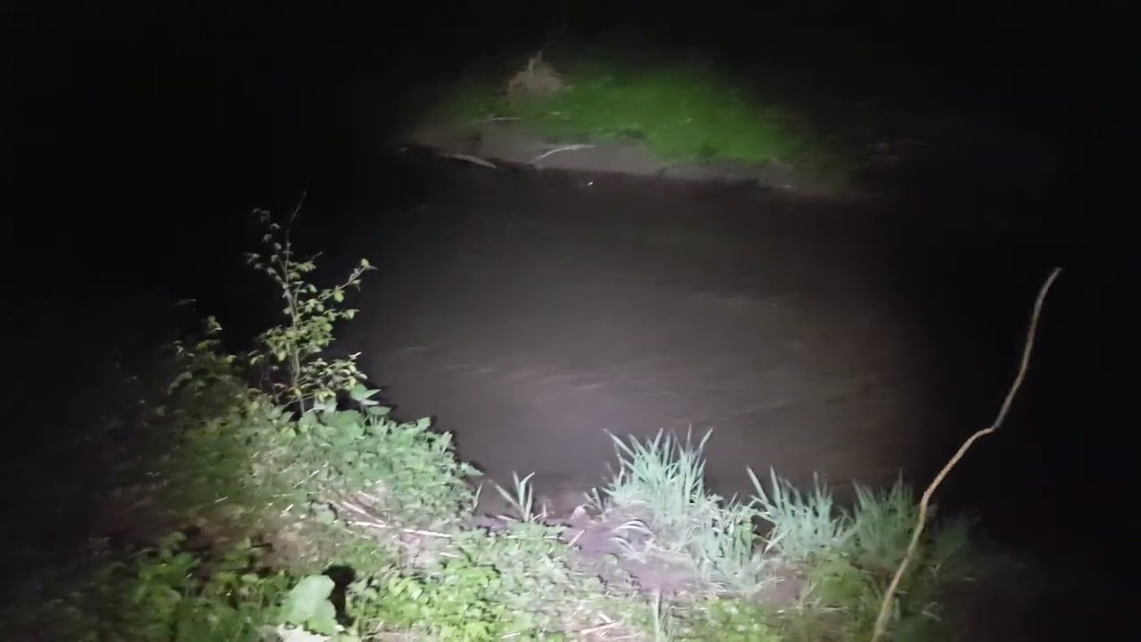 Rückkehr bei Nacht