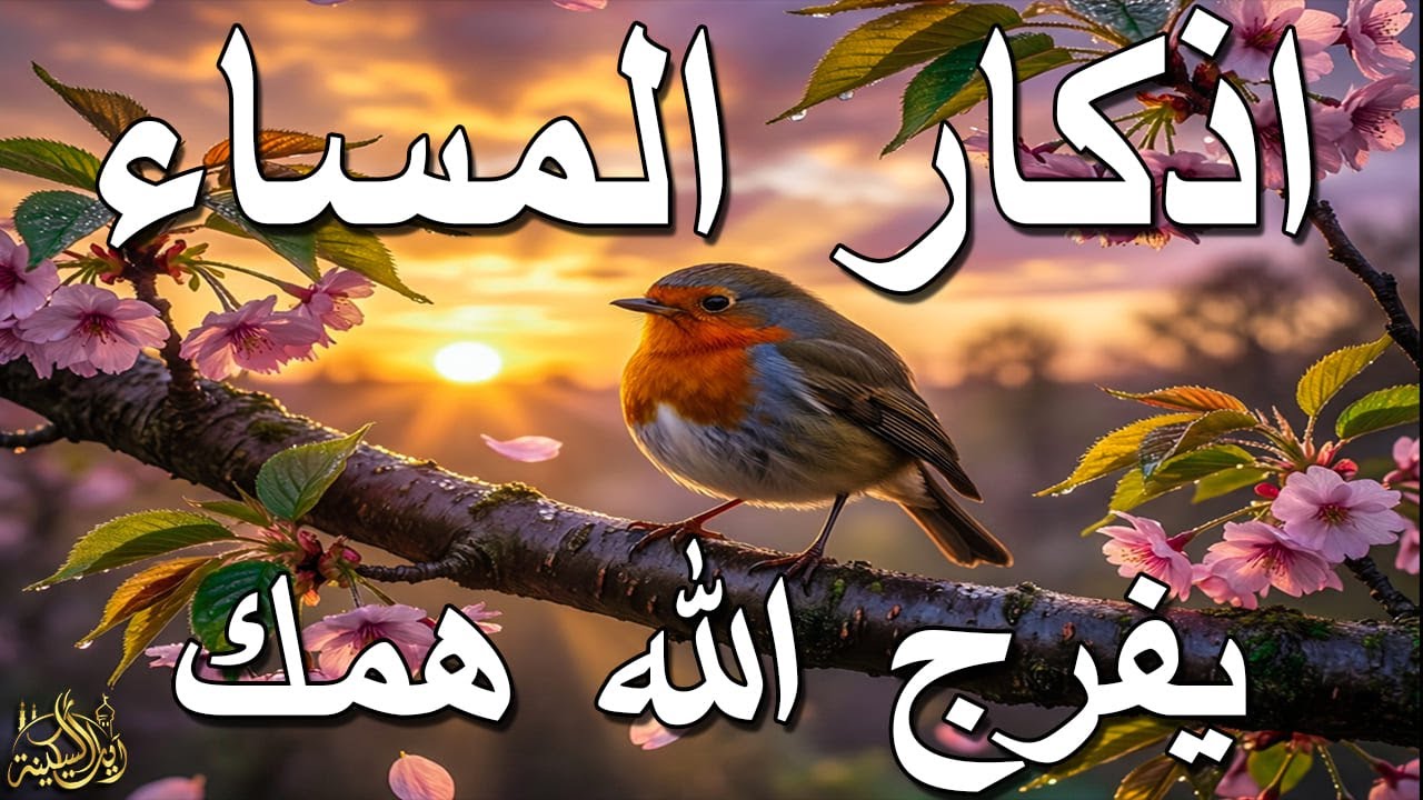 اذكار المساء | راحة وسكينة لقلبك - تحصن بيتك وأهلك | Dzikir Malam - Evening azkar By Alaa Aqel