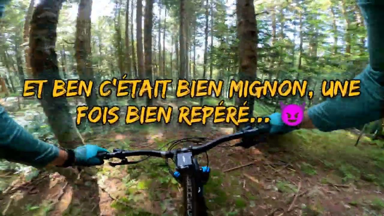 Du bon singletrack en endurigide commençal, avec une new 🤩. 25km 870m  03/08/24