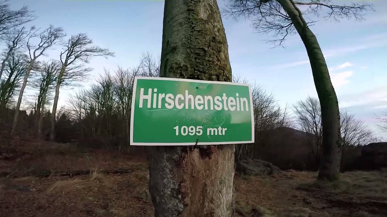 Hirsch am Stein