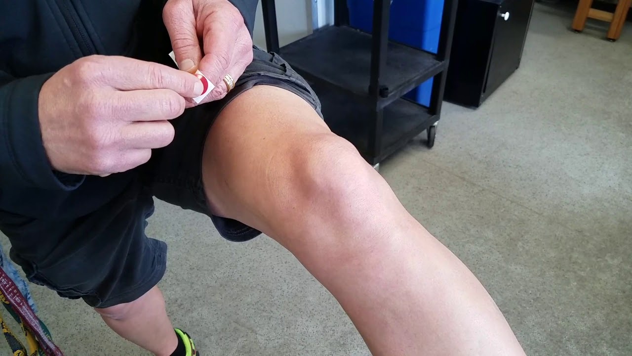 Bursa knee