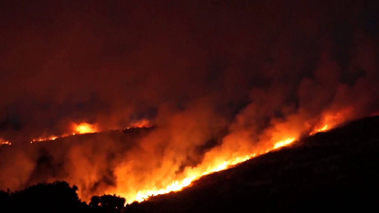 Gorse fire
