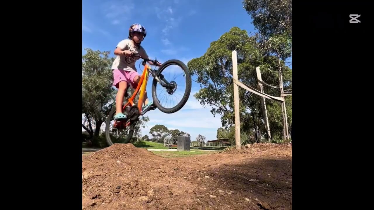 Day at the skatepark! 🛹🚲  #mtb #jumps #bikes 