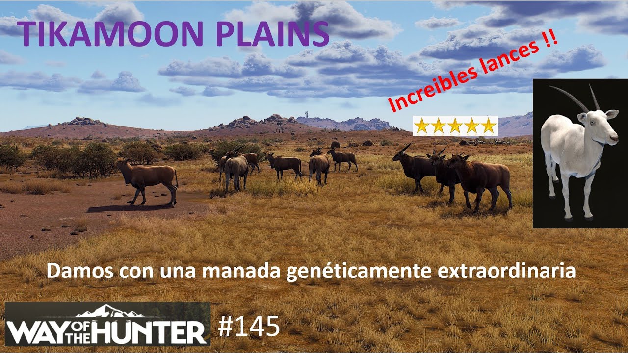 Way of the Hunter: Abatimos nuevamente un Eland 5 * en Tikamoon Plains