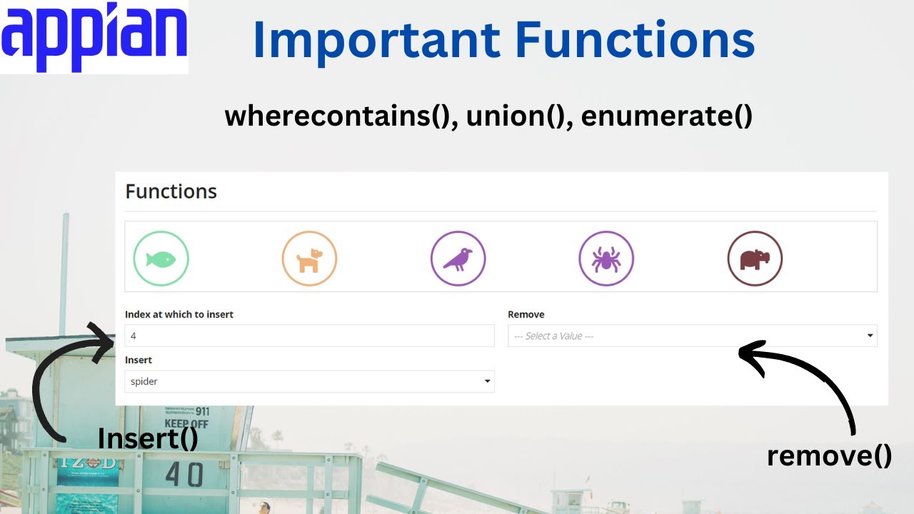 Important Appian Functions | wherecontains(), remove(), insert(), enumerate() | Appian Tutorial