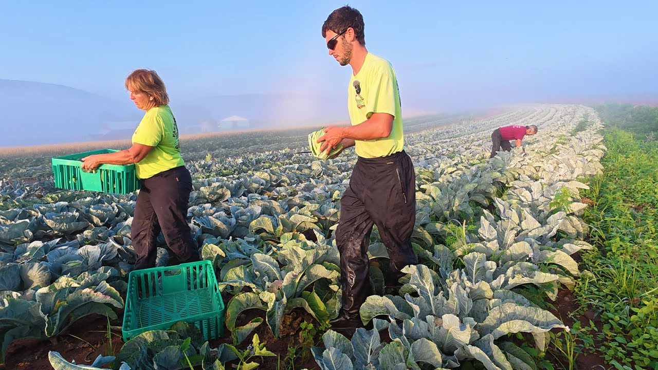 The Real Life Of Farming With Family