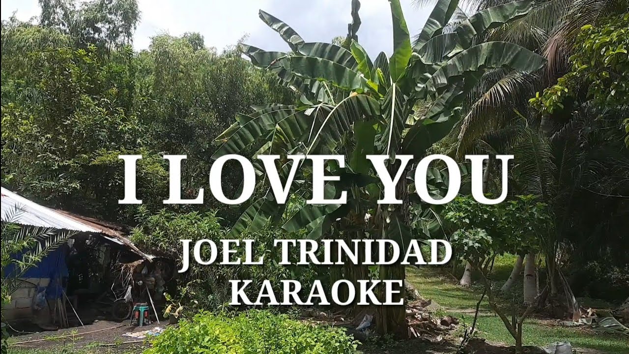 I Love You by Joel Trinidad Karaoke Version