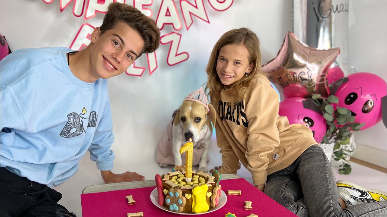 CUMPLEAÑOS de LUCI BOMS /Hacemos una tarta de perro y abrimos los regalos / Mika Sofi Vlog