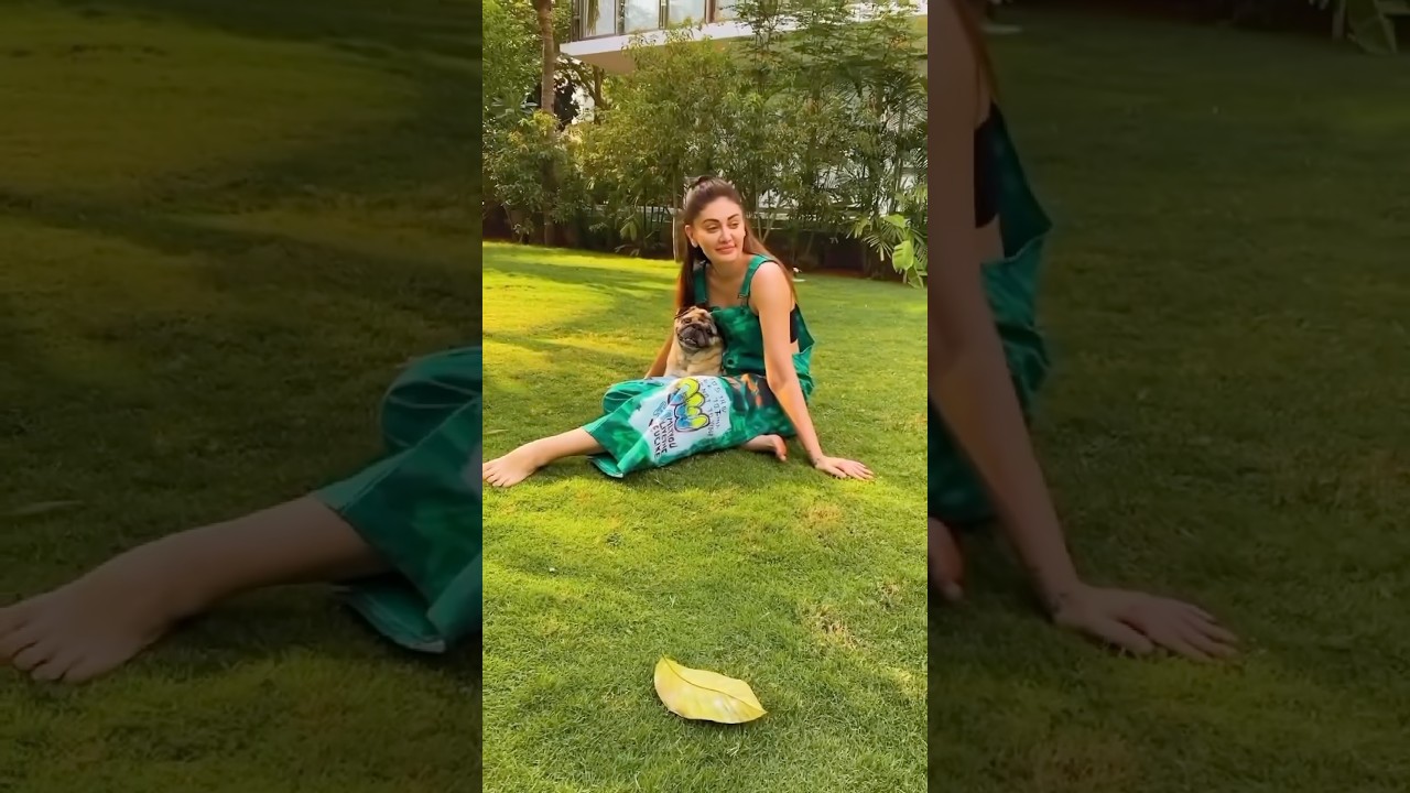 Parag Tyagi's Touching Tribute to Simba and Shefali Jariwala #paragtyagi #shefalijariwala #dog