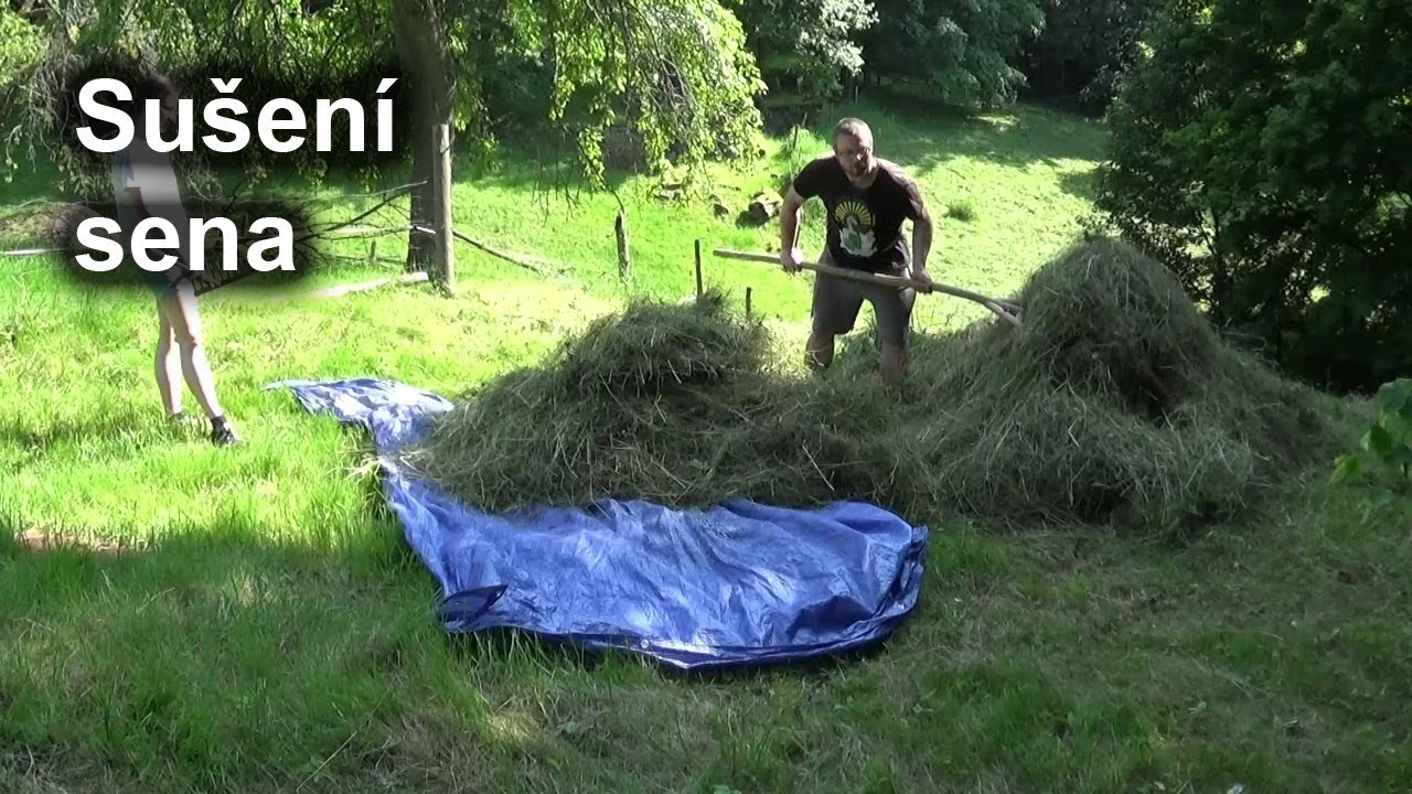 Jak sušíme seno - Kosení trávy