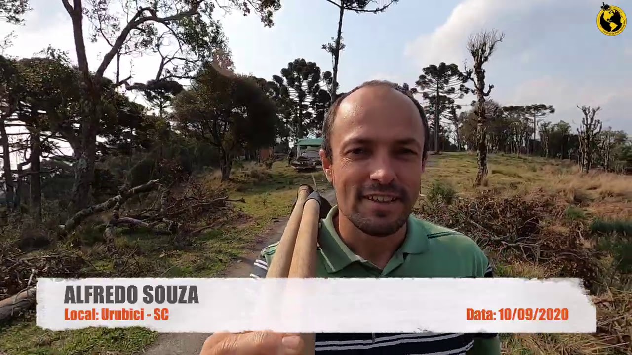 TRABALHEI IGUAL GENTE GRANDE T07EP75