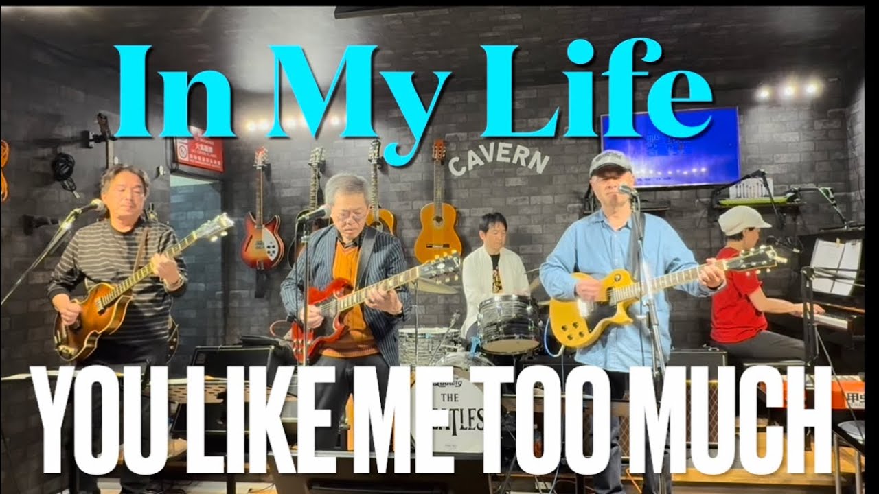 In My Life 〜 You Like Me Too Much  ダイジェスト（Beatles  cover）