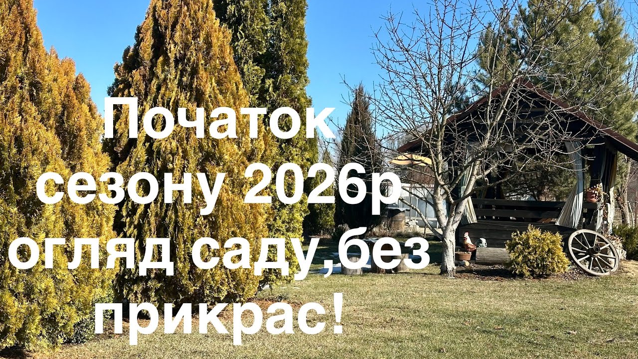 Початок сезону 2026 р,огдляд саду,без прикрас!💛🩵