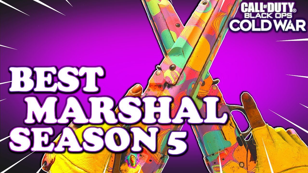 ONE SHOT Marshal Class in Cold War | Akimbo Marshals are Brutal!