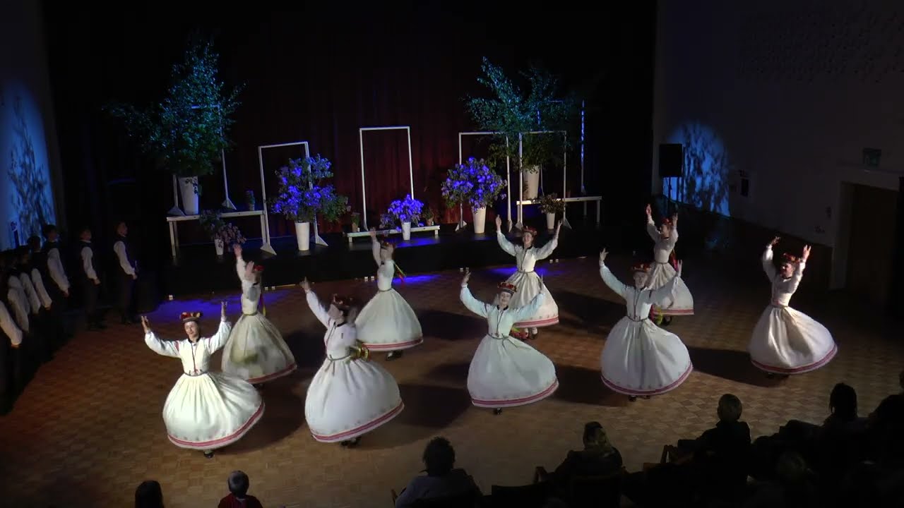 Pērkoņdēli & Saulīt lūdza pērkonam, JDK Mēmelīte