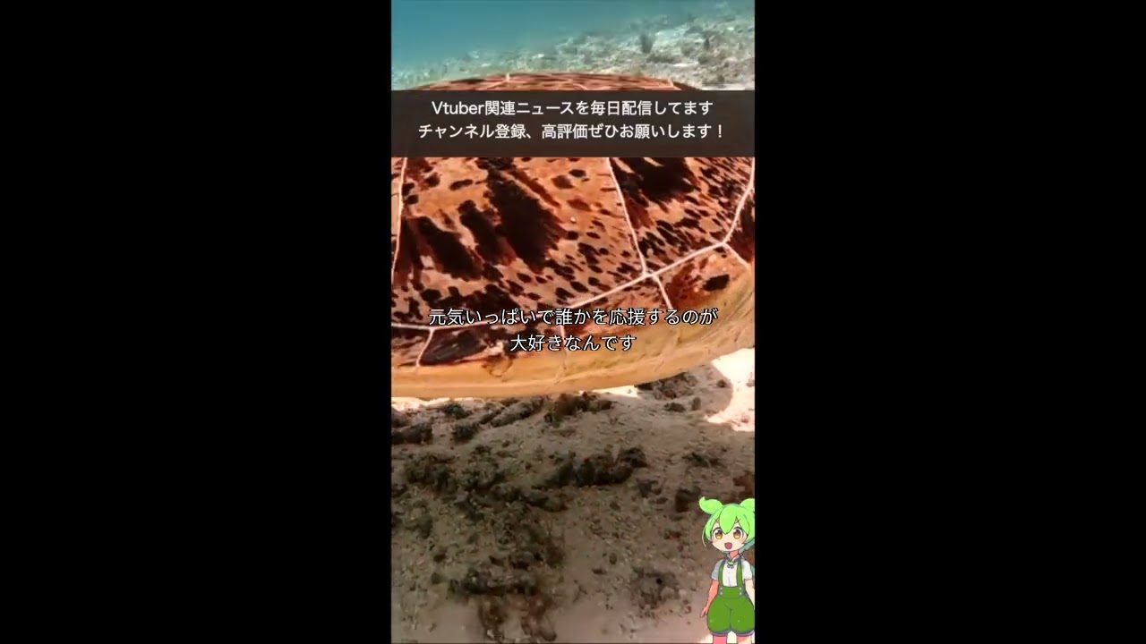 チバテレ公認・千葉県ご当地VTuber「房総なの」がユニバースプロダクションよりデビュー　初配信は1月30日（金）21時より実施