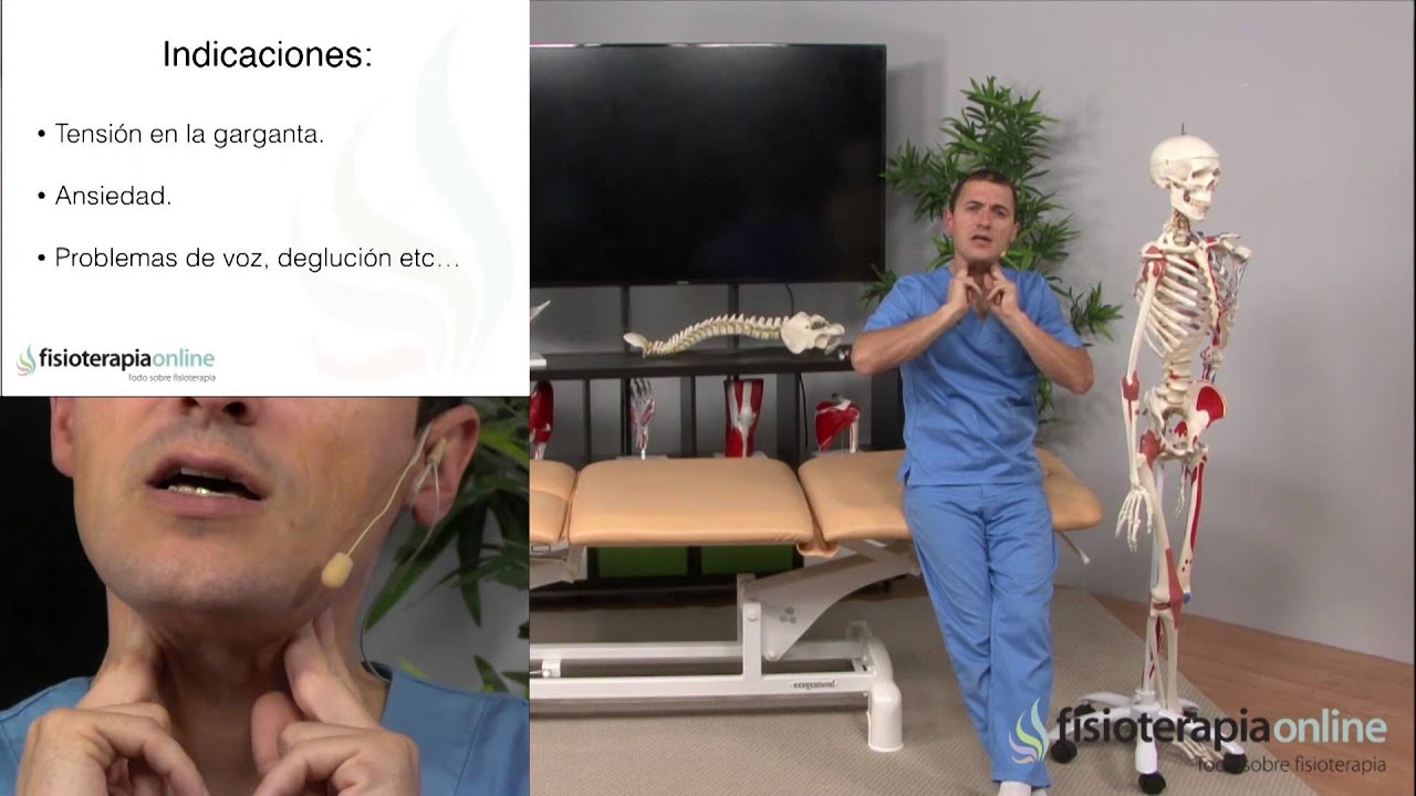 Tratamiento del dolor muscular de cuello y garganta - Fisioterapia Bilbao