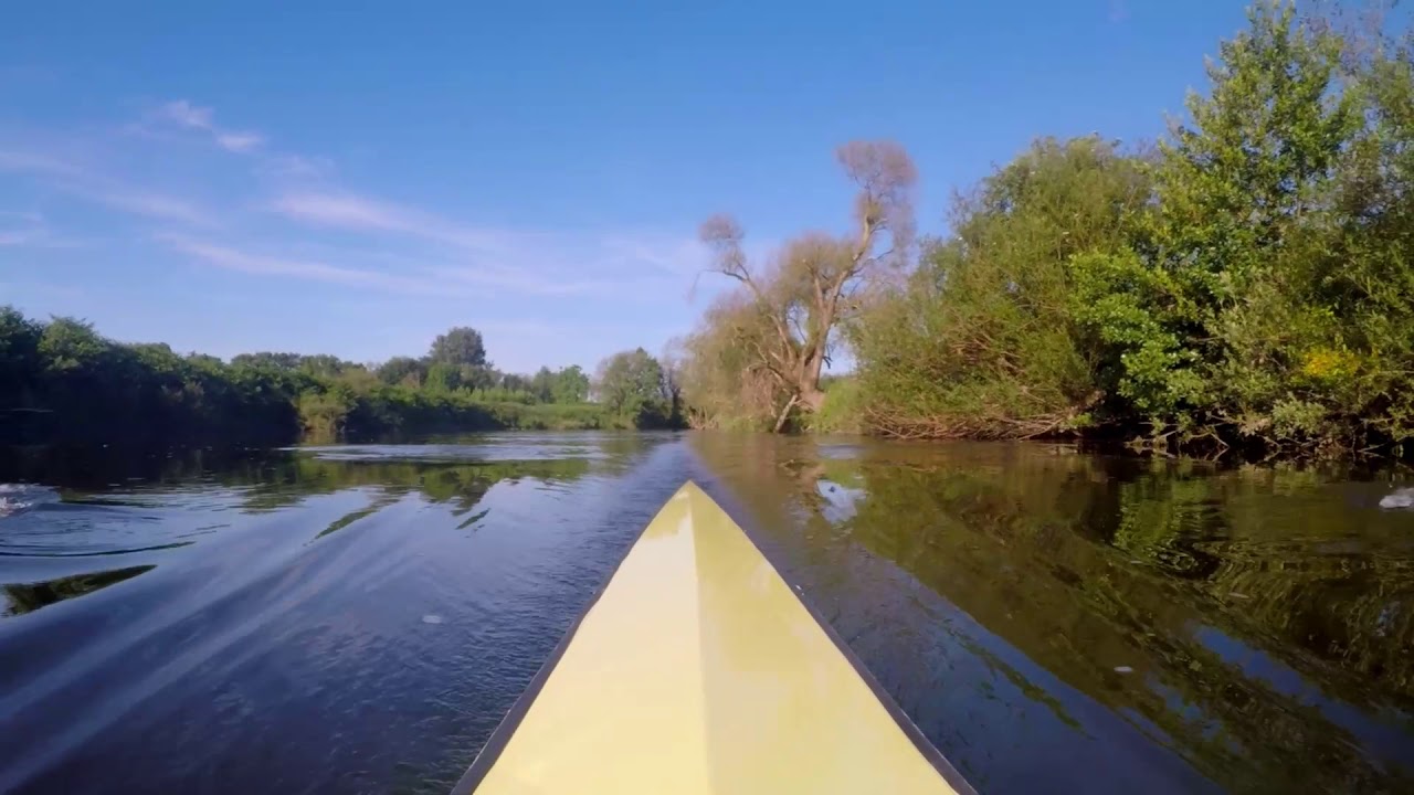 Rudern im SOMMER // Summer Rowing Scenery