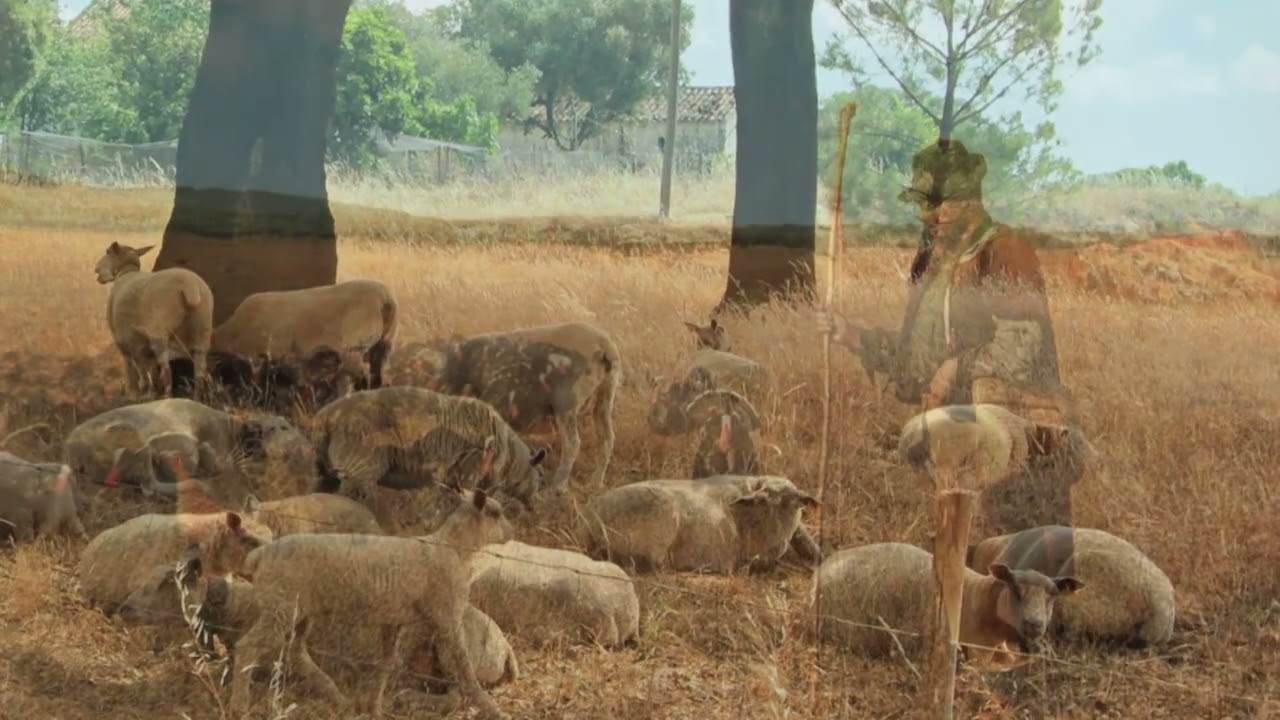 O Pastor Alentejano