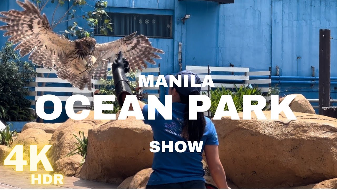 MANILA OCEAN PARK SHOW WALK 4K | One of The Fun Activity to Watch in PHILIPPINES | METRO MANILA