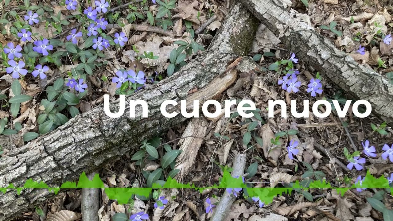 Un cuore nuovo - Canto Cristiano | Rinascita