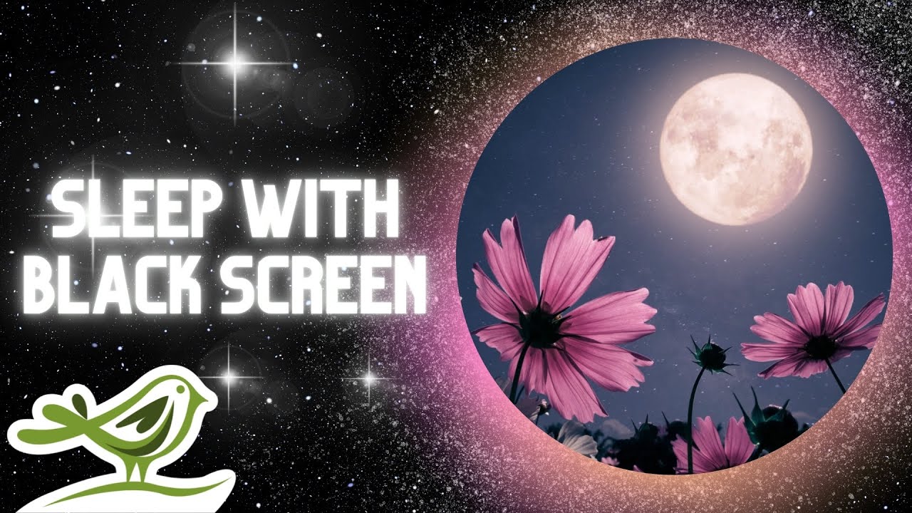 [NO ADS] Midnight Calm: Deep Ambient Sleep Music with Black Screen by Peder B. Helland