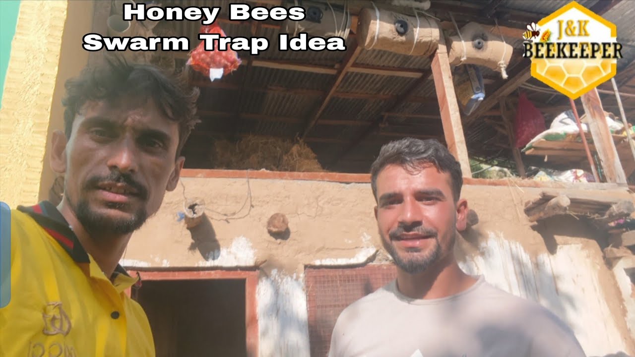 Monster Honey Bees Swarm Trap💡|  Beekeeping At Home | Swarm Kaise Trap Kare 