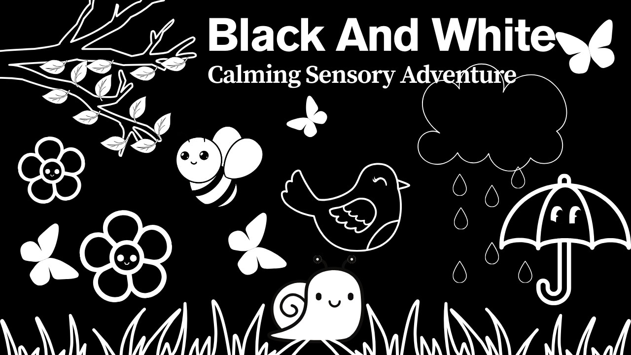 Baby Bear | Black and White Calming Adventure | Visual Tracking Sensory Video for Babies