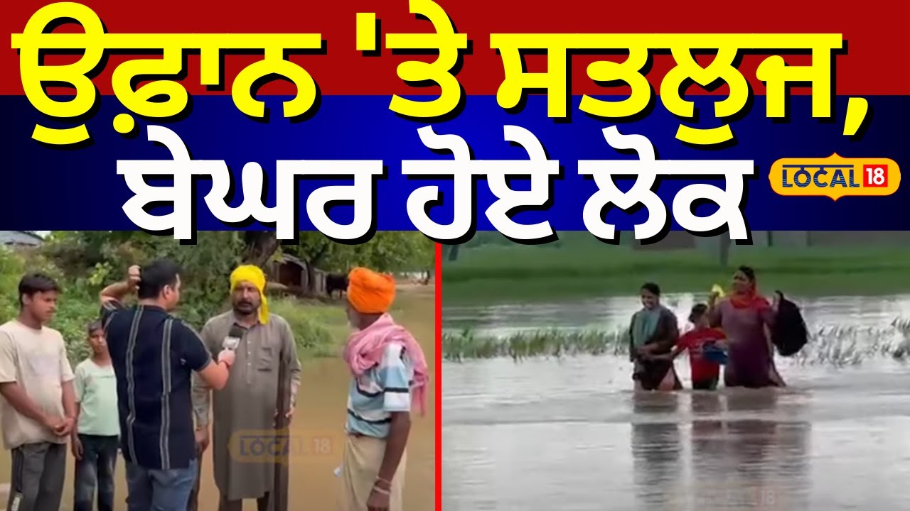 Ferozepur Floods News | ਉਫ਼ਾਨ 'ਤੇ ਸਤਲੁਜ, ਬੇਘਰ ਹੋਏ ਲੋਕ!| Latest News | Flood Alert In Punjab #local18