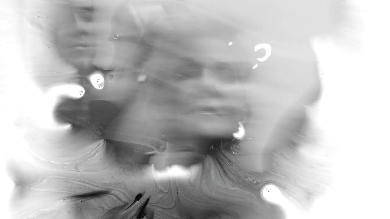 Because I could not stop for Death - Kevin Puts | Joyce DiDonato & Time For Three