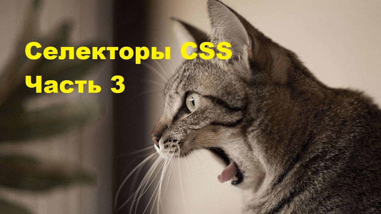 5 . Селекторы CSS. Часть 3. Контекстные селекторы