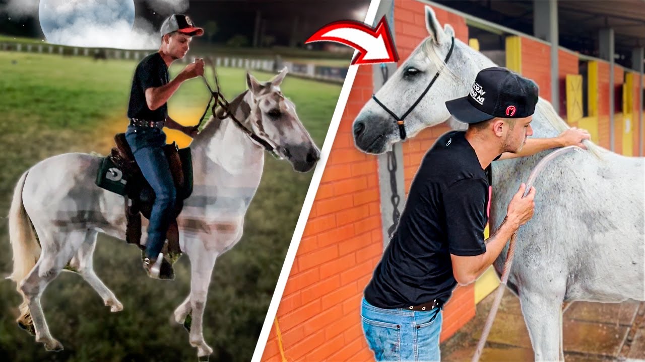 PASSAMOS 24 HORAS em UM PARQUE DE EXPOSIÇÃO do MANGALARGA MARCHADOR